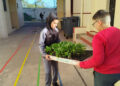 colegio-reina-sofia-comprometido-iniciativa-ecologica-041