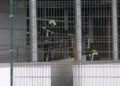 cruz-roja-asegura-toma-medidas-mantenimiento-cierre-hospital-incendio-008