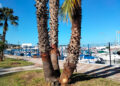 daubma-denuncia-sanciones-selectivas-puerto-deportivo-003