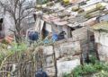 narcotúnel-Ceuta-Marruecos-vivienda
