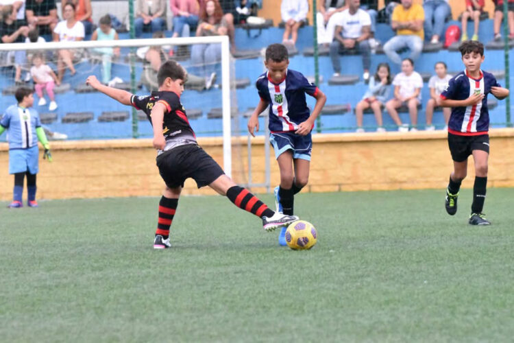 establecida-fase-liga-alevin-futbol-futbol-sala