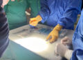 hospital-universitario-ceuta-referente-tecnicas-vanguardia-tratamiento-suelo-pelvico-1