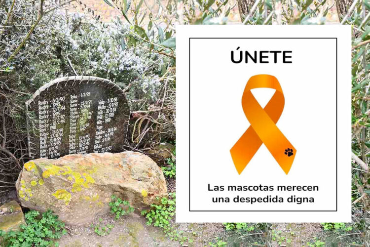 lazo-naranja-peticion-cementerio-mascotas