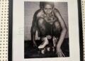 manana-fotografia-biblioteca-adolfo-suarez