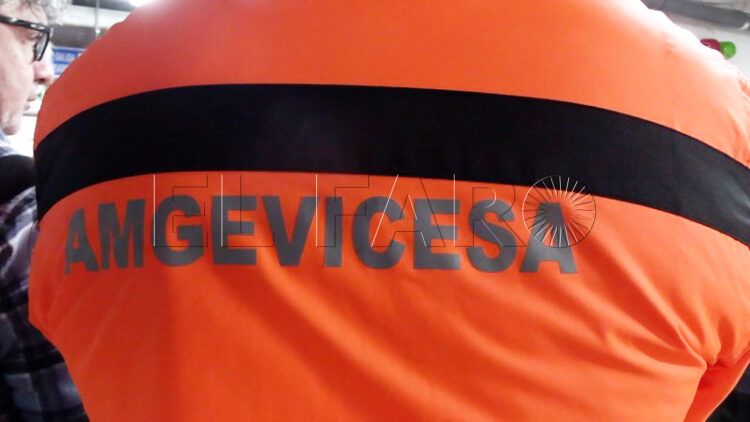 amgevicesa