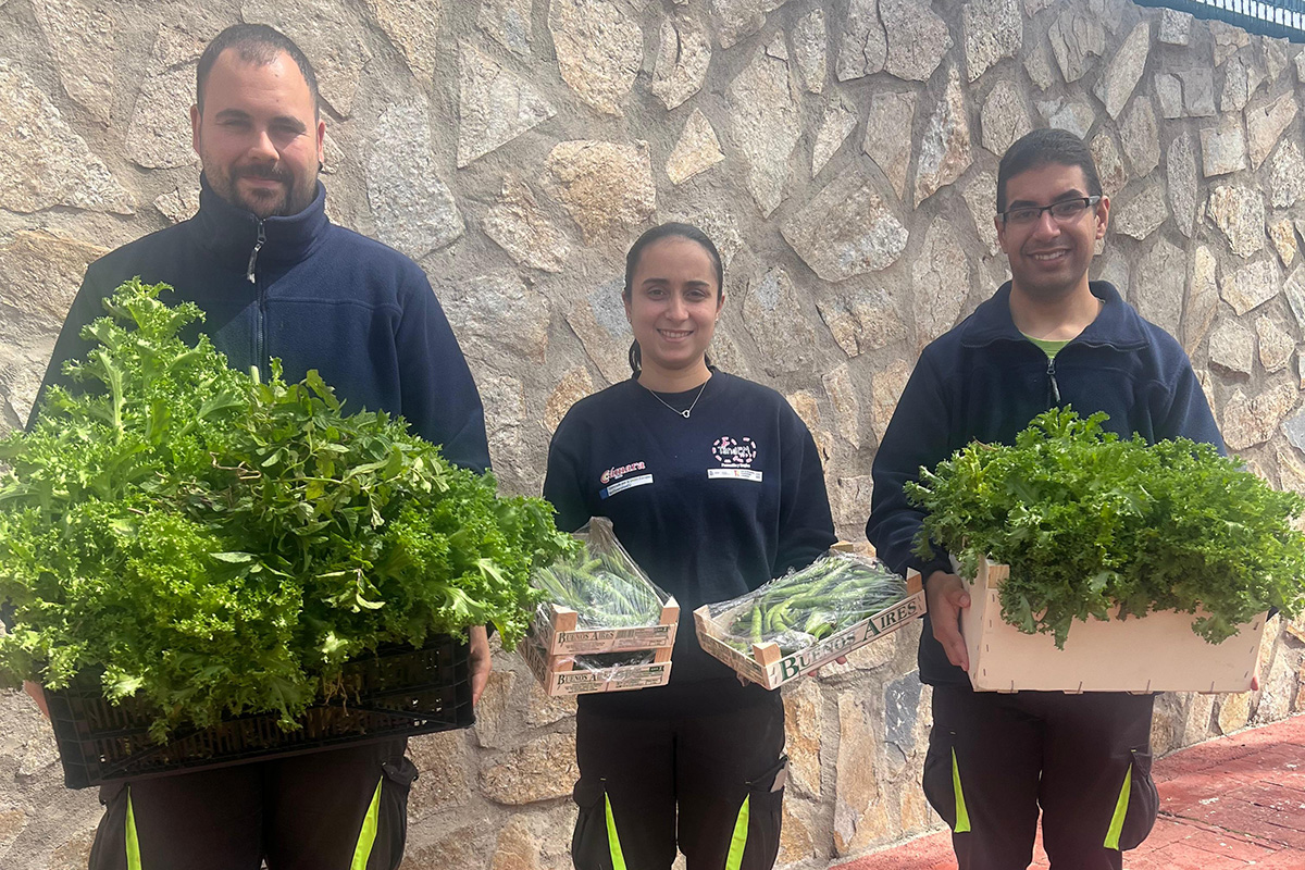 proyecto-huertos-urbanos-camara-entrega-primeras-hortalizas-banco-alimentos-001