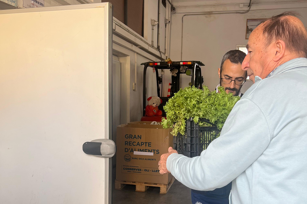 proyecto-huertos-urbanos-camara-entrega-primeras-hortalizas-banco-alimentos-003