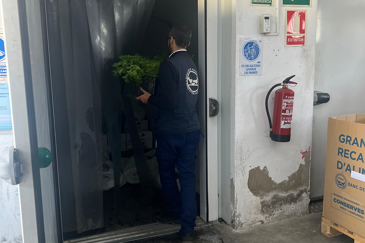 proyecto-huertos-urbanos-camara-entrega-primeras-hortalizas-banco-alimentos-004