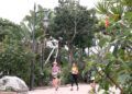 recorrido-pieza-grande-cuna-legion-2025-042