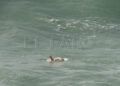 rescate-guardia-civil-geas-benzu-18