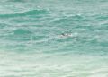 rescate-guardia-civil-geas-benzu-25