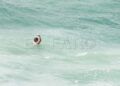 rescate-guardia-civil-geas-benzu-27