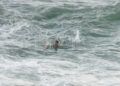 rescate-guardia-civil-geas-benzu-3