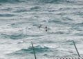 rescate-guardia-civil-geas-benzu-31
