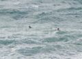 rescate-guardia-civil-geas-benzu-35