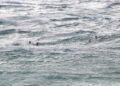 rescate-guardia-civil-geas-benzu-8