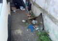 tiran-vespas-queja-recinto-sur-creciente-basurero