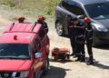 trama-narcotunel-ceuta-marruecos-asi-avanza-investigacion-17