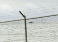 vidas-a-salvo-rescate-servicio-maritimo-guardia-civil-frontera-sur-8