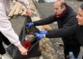 CIFPN1-recogida-plastico-playas-1