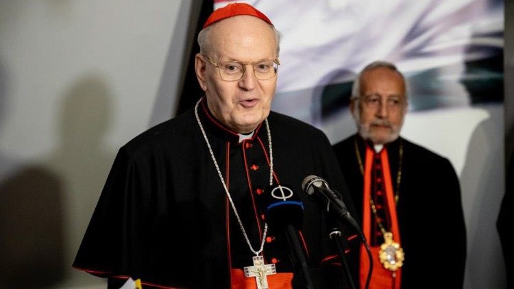 Peter-Erdo-candidato-papado