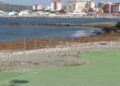 algas-playa-desaladora-benitez-14