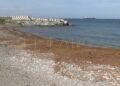 algas-playa-desaladora-benitez-15