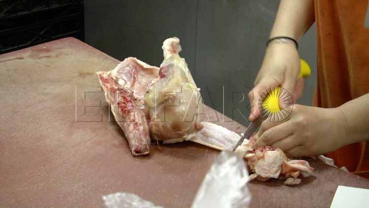 carnicerias-aves-clausuradas-martil