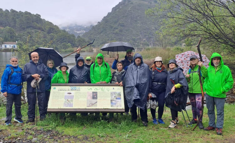 club-manada-realiza-ruta-sendero-libelulas-001
