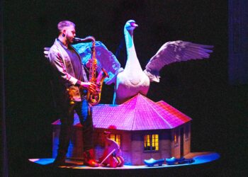 compania-etcetera-teatro-patito-feo-1
