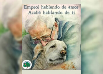 daumba-piden-construccion-incineradora-municipal-mascotas