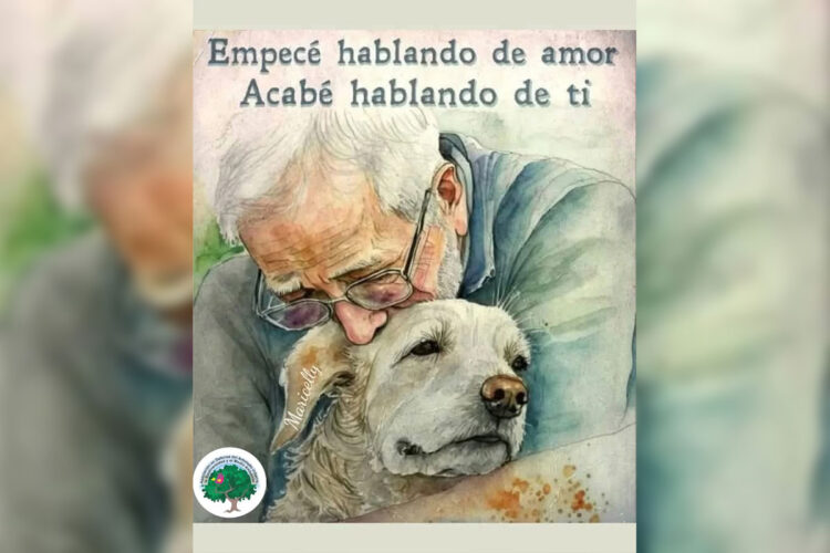 daumba-piden-construccion-incineradora-municipal-mascotas
