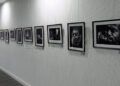 encuentros-musicales-viaje-fotografico-jazz-blues-012