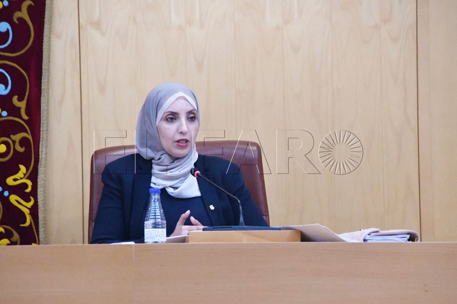 fatima-hamed-mdyc-pleno-30-abril-2025-1