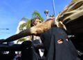encrucijada-hadu-reencuentra-fe-jueves-santo-cargado-emocion-semana-santa-2025-039