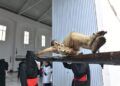 encrucijada-hadu-reencuentra-fe-jueves-santo-cargado-emocion-semana-santa-2025-087