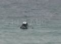inmigrantes-se-arrojan-mar-cruzar-marruecos-ceuta-001