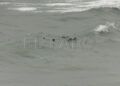inmigrantes-se-arrojan-mar-cruzar-marruecos-ceuta-002