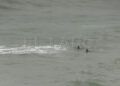 inmigrantes-se-arrojan-mar-cruzar-marruecos-ceuta-031