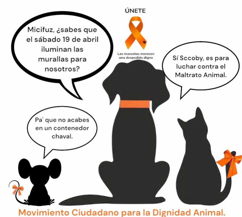 luces-naranja-ceuta-defender-dignidad-animal-001