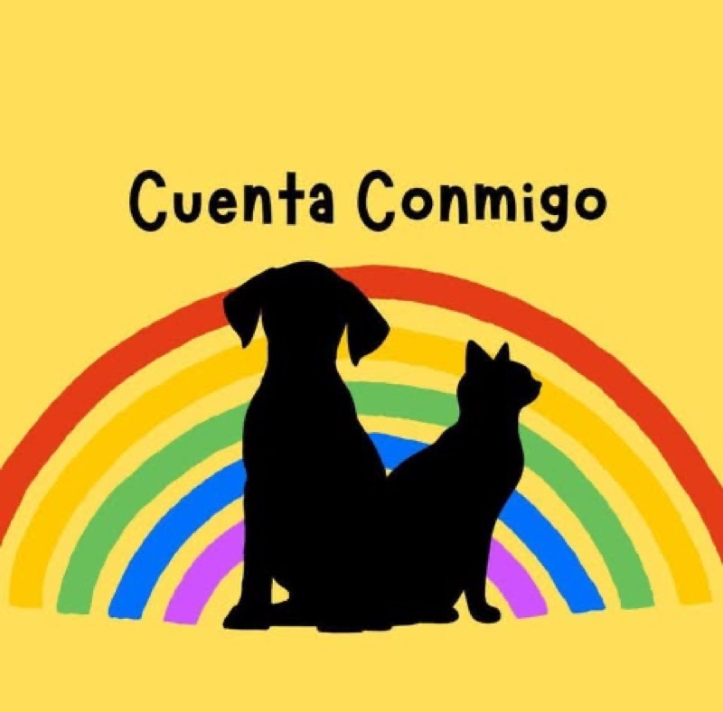 luces-naranja-ceuta-defender-dignidad-animal-002