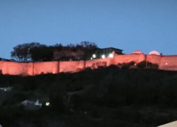 luces-naranjas-piden-dignidad-animal-ceuta-001