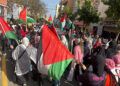 manifestacion-palestina-ceuta-094