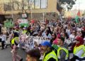 manifestacion-palestina-ceuta-116