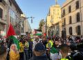 manifestacion-palestina-ceuta-137
