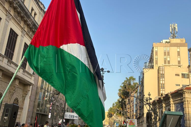 manifestacion-palestina-ceuta-141