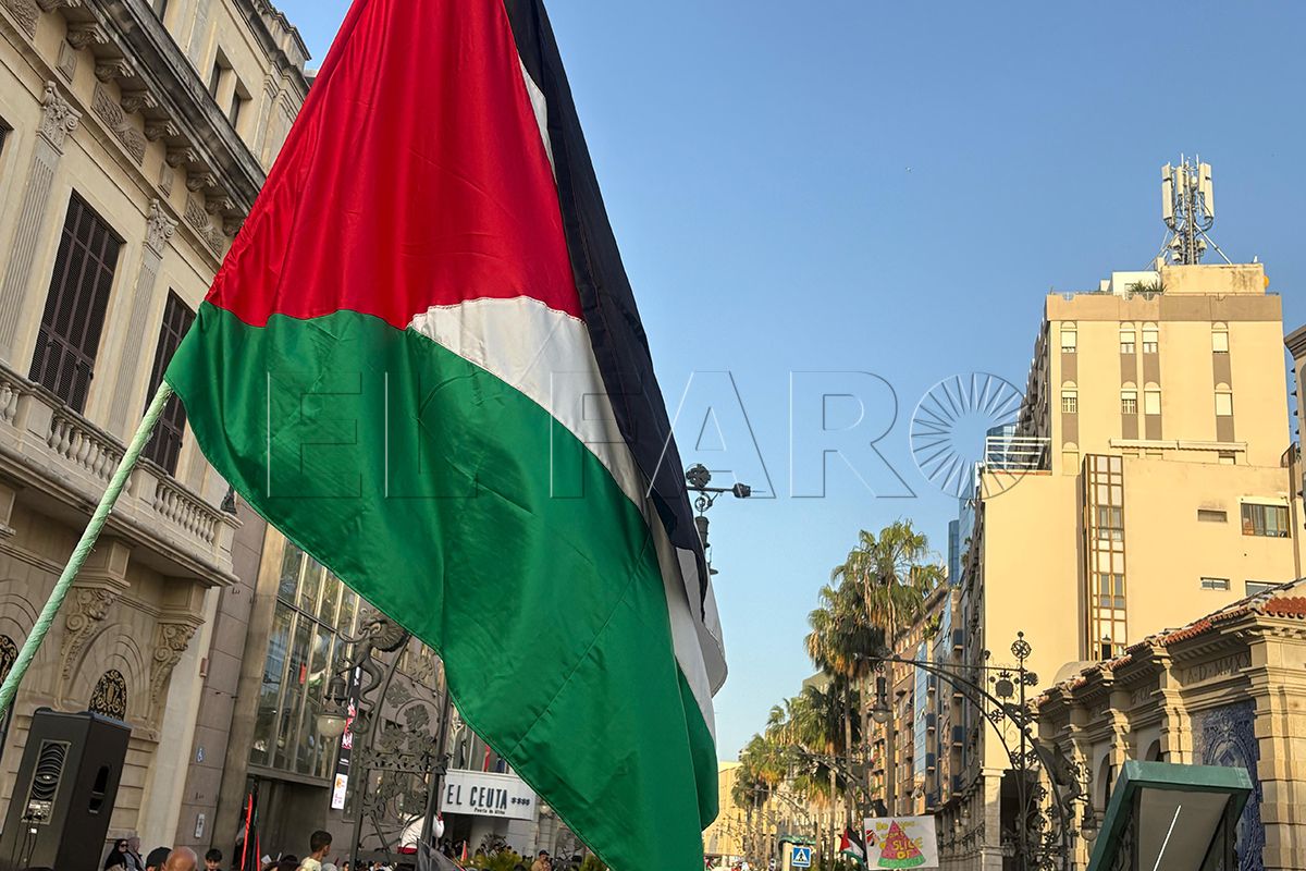 manifestacion-palestina-ceuta-141