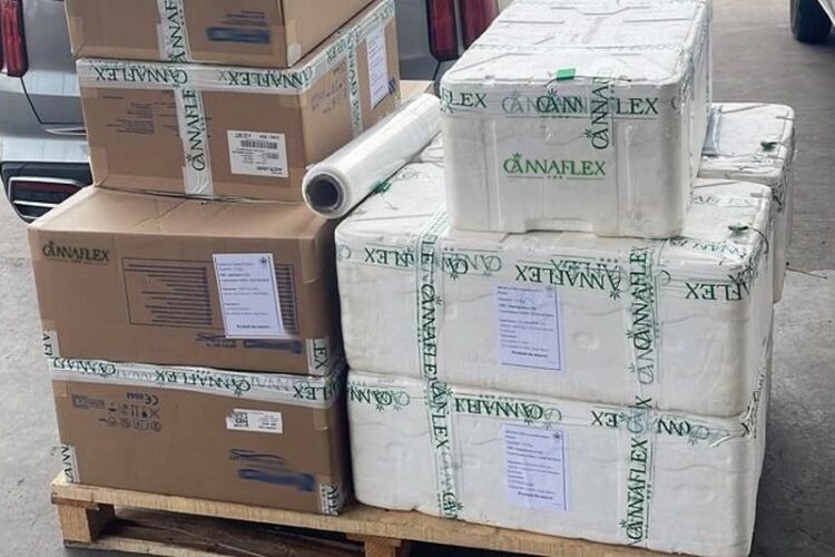 marruecos-inicia-primera-exportacion-cannabis-medicinal