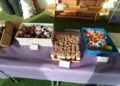 mercadillo-solidario-juan-morejon-beneficio-autismo-ceuta