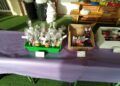 mercadillo-solidario-juan-morejon-beneficio-autismo-ceuta